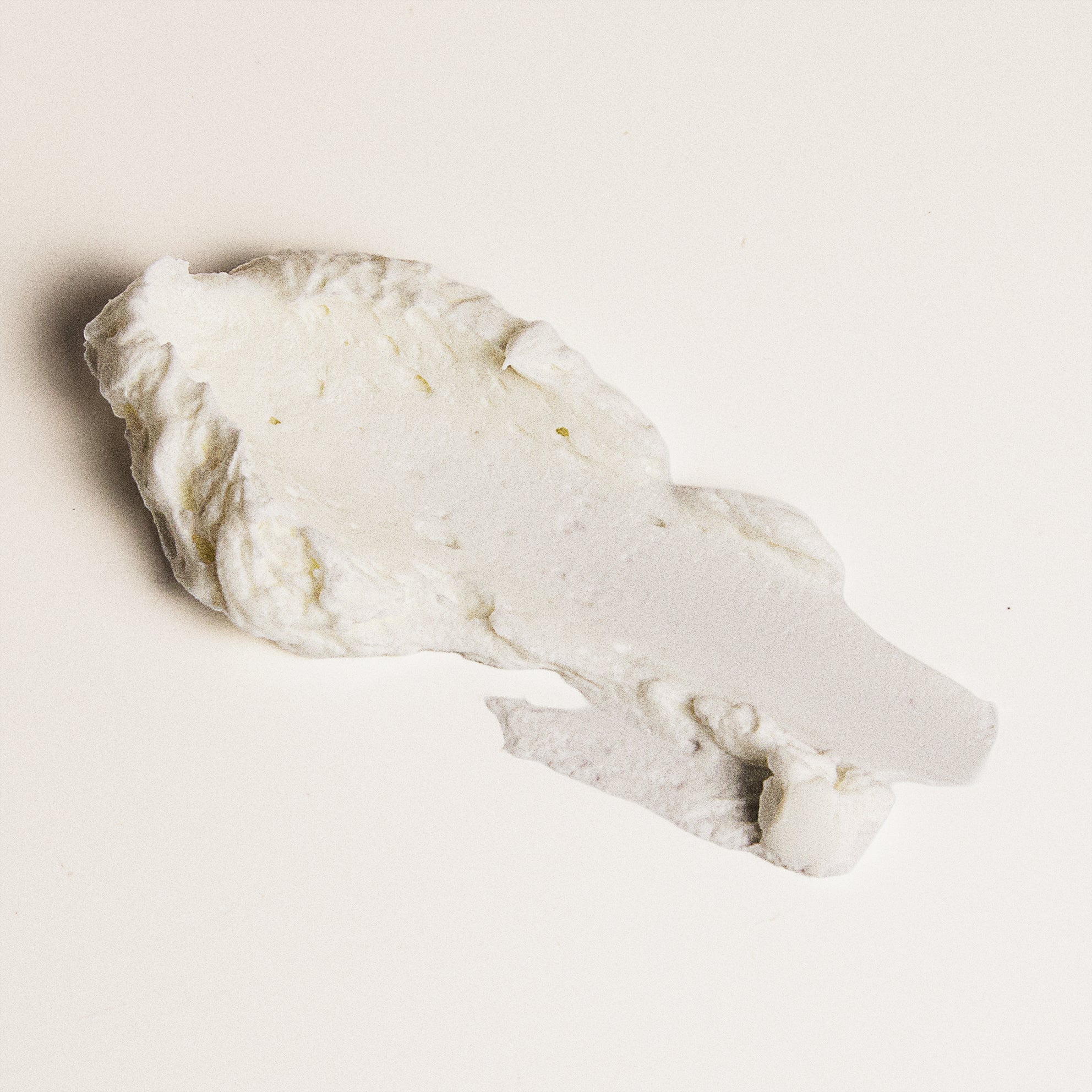 Close-up of ONE11 Wildcraft Whipped Tallow Cream whipped texture