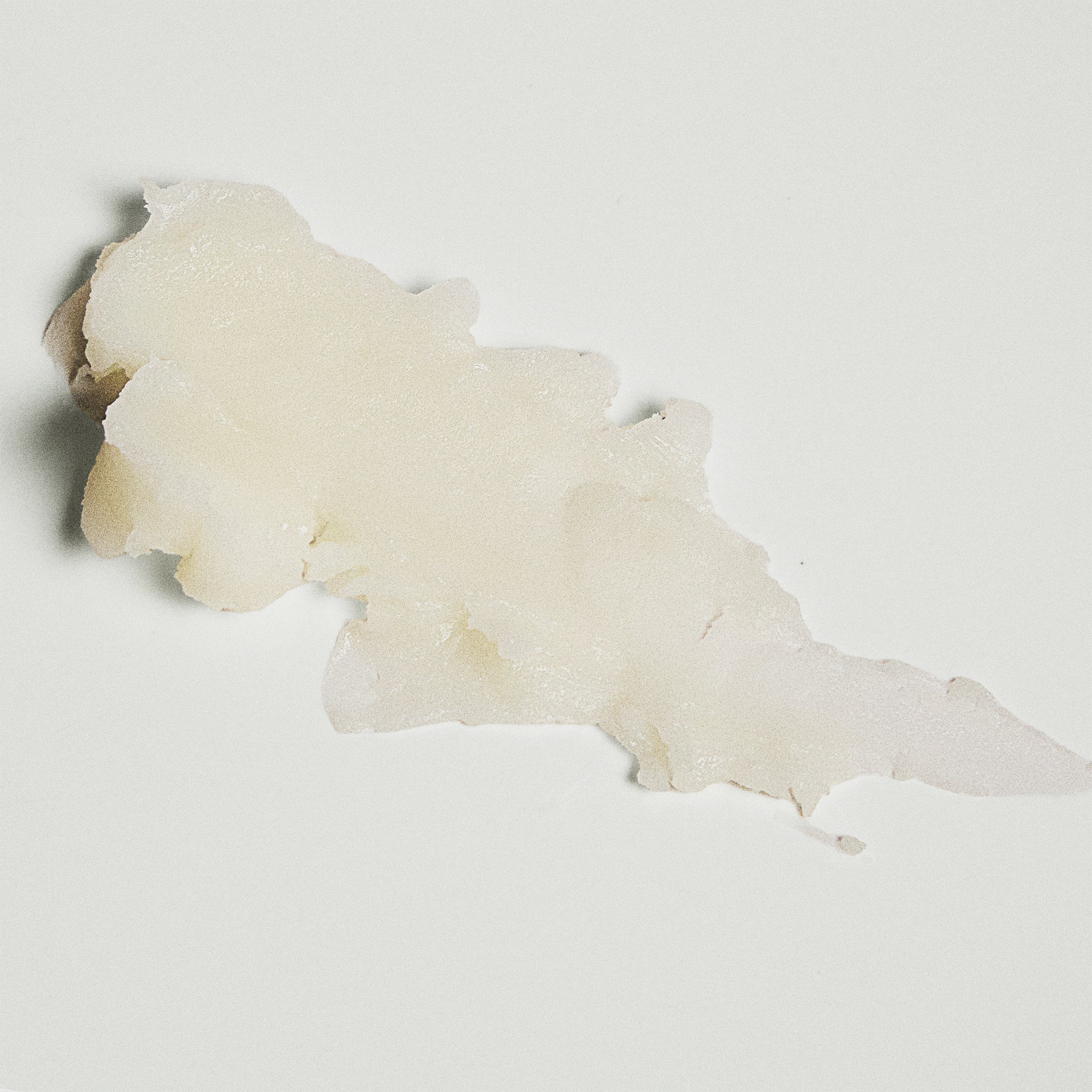 WILDCRAFT  - Unscented - Tallow Balm w/ Organic Beeswax
