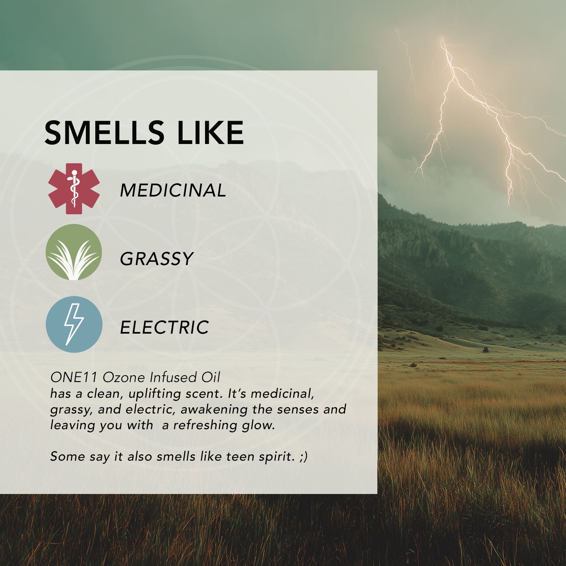 ONE11 ozone-infused olive oil botanical scent options